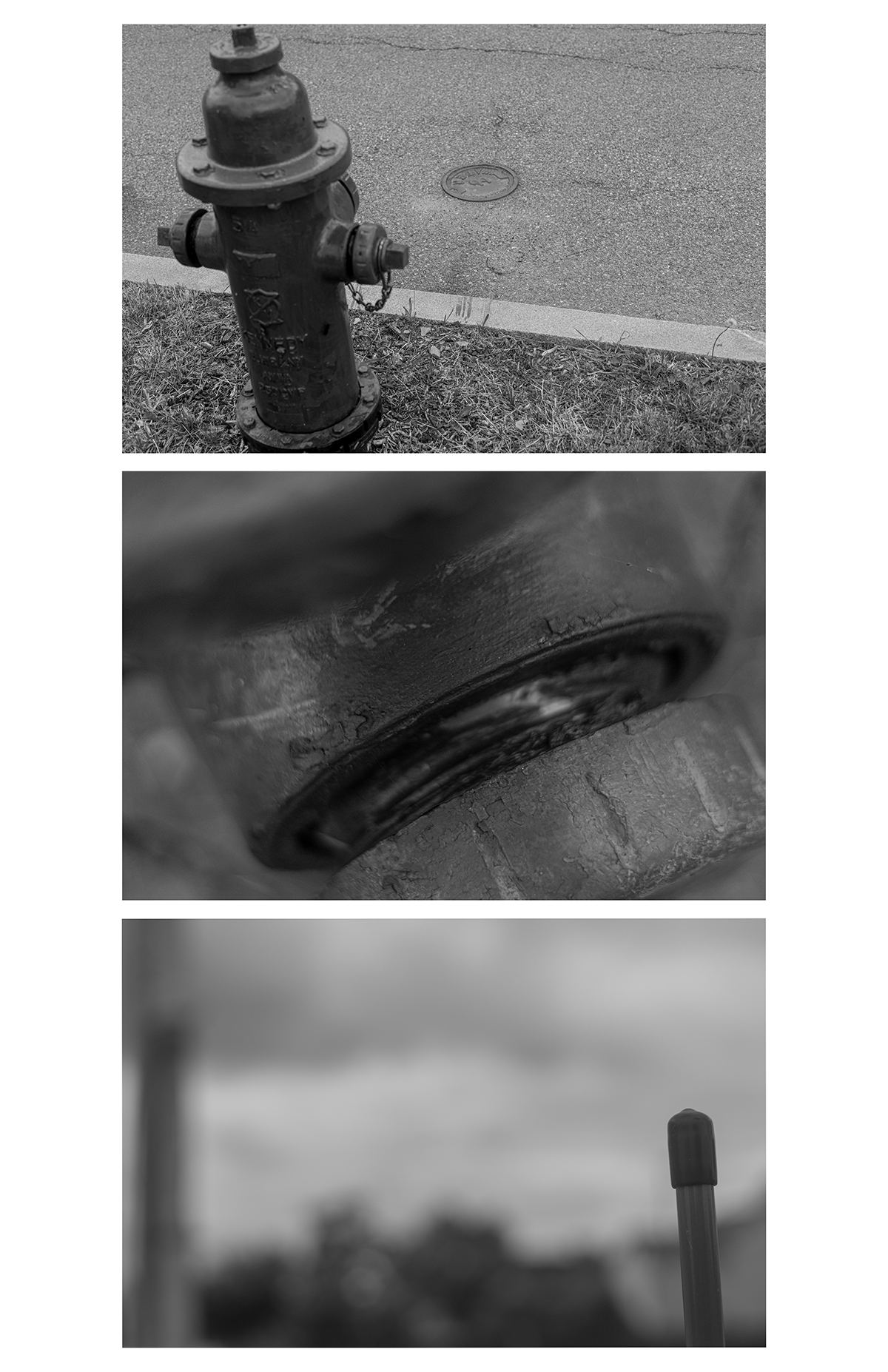 Black & White Study - By NFN Joniad