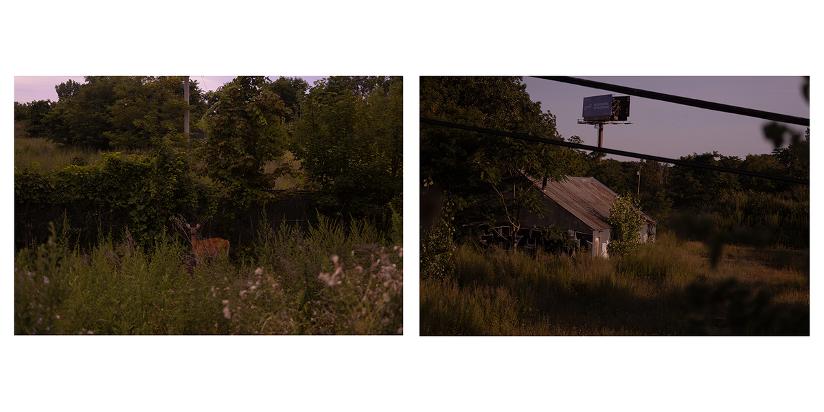 Landscape Diptych