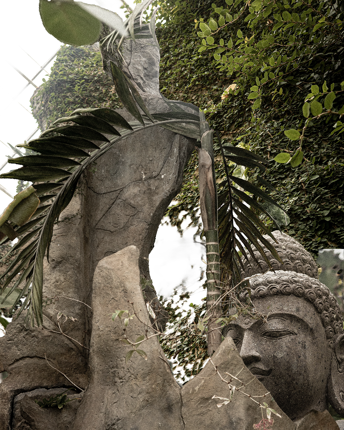 Botanical Garden - By NFN Joniad